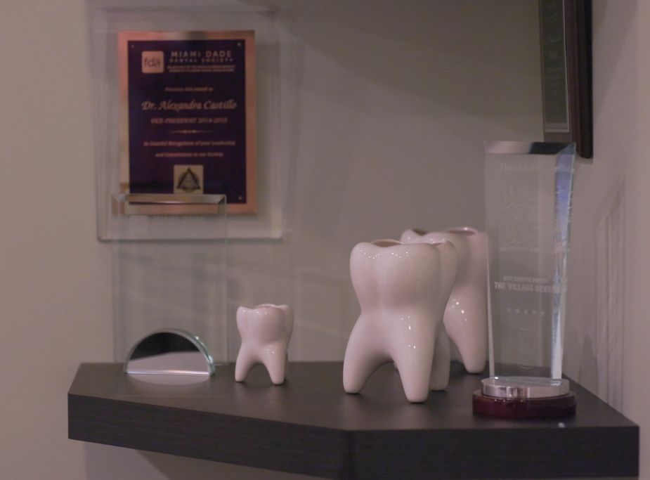 Awards and decorative dental models displayed in The Village Dental's welcoming office in Pinecrest, FL, highlighting excellence in family and cosmetic dentistry.